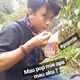 helloael