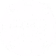 Cryptochips_V1