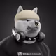 BigCloud
