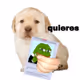 danabrio