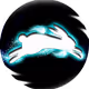 VVhiteVVabbit