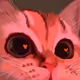 CATS2281337