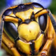 naturebyte82