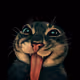 MRxLOLCAT