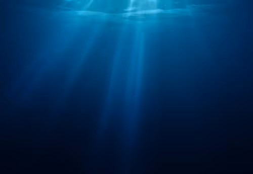 OpenSea banner for @Inorganic