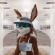 FLUF_Adm