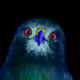 hawkwardart