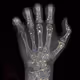 L4Q2