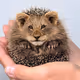 0xbaaa99a035996c1b26cf0d42f439e8e8dcc414cd