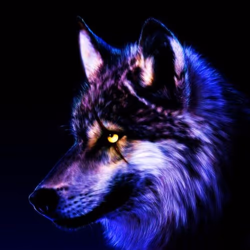 OpenSea profile picture for @Jurre