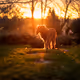 jasperthecav
