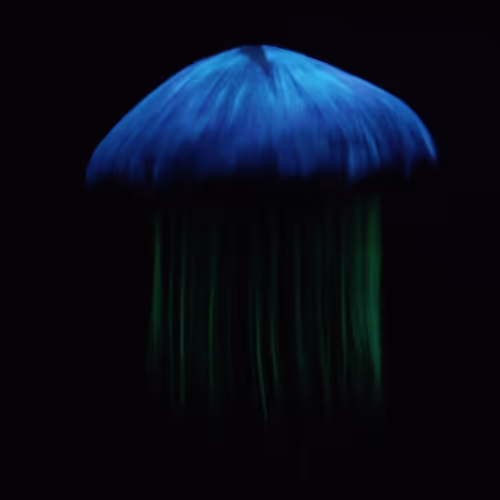 OpenSea profile picture for @Vuk