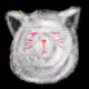 pluton_cat
