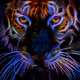 TheNeonTiger