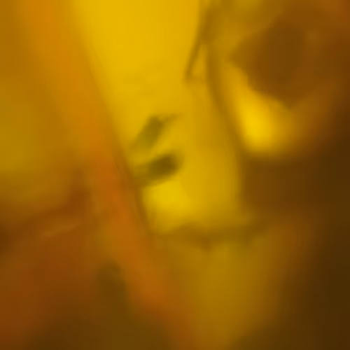 OpenSea profile picture for @String