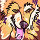 orion_the_dog