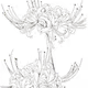 Jodye