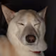 Enerrgy