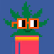 Cjon