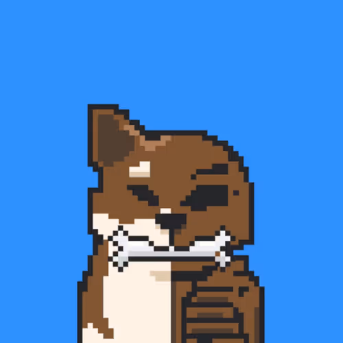 OpenSea profile picture for @rusj