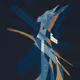 ethersquid
