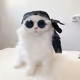 ratatatatataatata