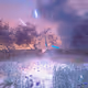Melobird_eth