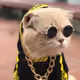 RichTom