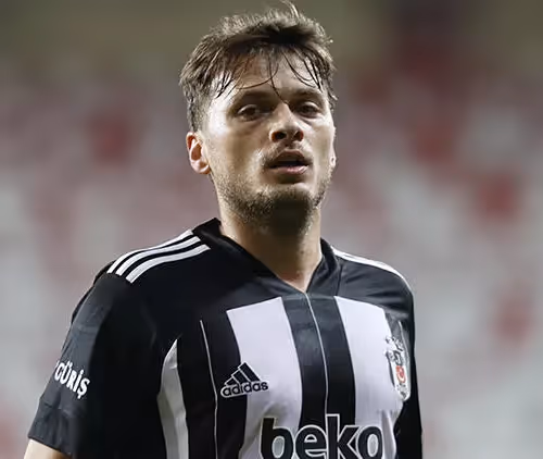 OpenSea profile picture for @LJAJIC