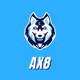 AX8