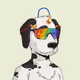 0xbc627b1ffde78ae8eb71aa2d73f769f413c0e94c