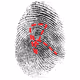 0xbc8e451f46c4555ac462c7b8406b31da8d8f029f