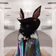 Divey