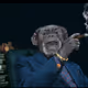 FhdationX