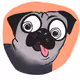 Fartpug