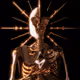 SPAWNISHER_