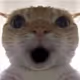 0xbceaa4f0ded51427448dac5ebb9ec3f46420db7c
