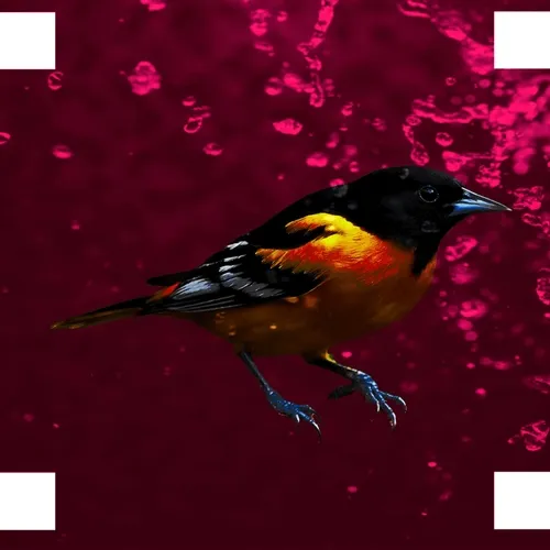 OpenSea profile picture for @Niche