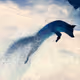 LordRenard