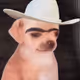 JMIRA