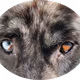 0xbd3b3aa20ed33ee90d298fb289611561e480436b