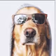 unclebensspb.eth