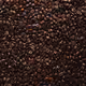 192019281