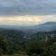 Elii00