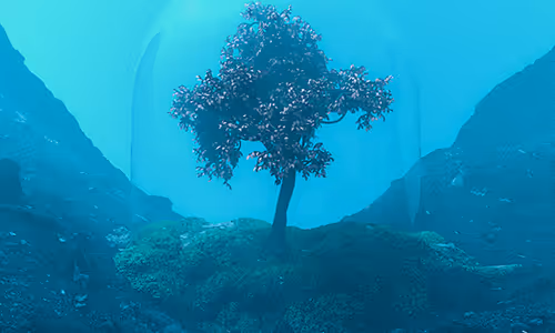 OpenSea banner for @moustafa