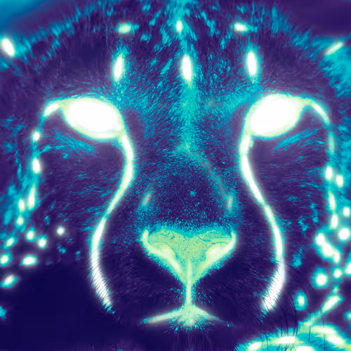 OpenSea profile picture for @Ratty