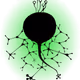 cipherGarden