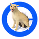 opeb