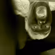 0xbdc29767d8bc6dd6b08d64d74c8ecf11b3f5ccf4