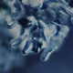 0xbdd057d5b2610e1d95b44ba98cd1396b7ed16c8a
